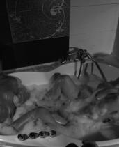 Повія Подружки VIP